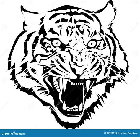 Tiger Stock Vector - Image: 40991973