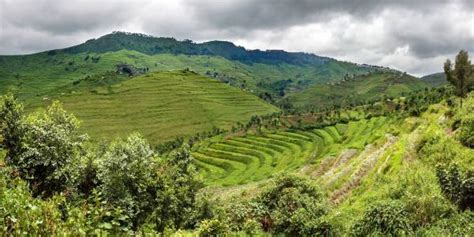 Rwanda’s Agribusiness is Investing to Tackle Climate Change