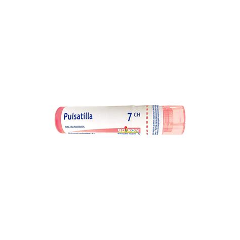 PULSATILLA 7CH - VIVAPharmacy