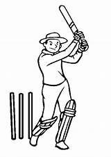 Cricket Coloring Page sketch template