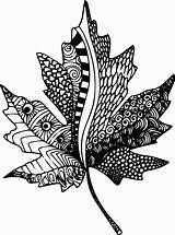Zentangle Coloring Pages  Free Printable sketch template