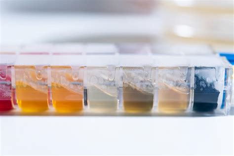 Biofilm Testing - Labsite