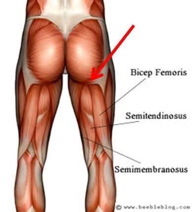 HAMSTRING SORENESS TREATMENT 1 - Muscle Pull | Muscle Pull