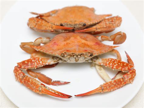 4 Ways to Cook a Crab - wikiHow