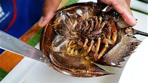 Thai Food - HORSESHOE CRAB EGGS Aoywaan Bangkok Thailand - YouTube