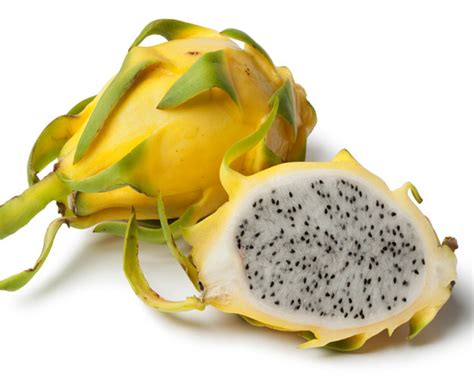 Dragon Fruit Plant Yellow Variety