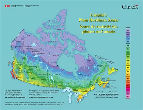 How to Find Your Frost Dates and Planting Zones - In Search Of Yummy-ness