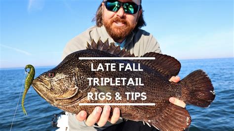 TRIPLETAIL FISHING [Late Fall Tactics, Tips & Rigs] - YouTube