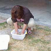 Underwater Basket Weaving: the real story - Boing Boing