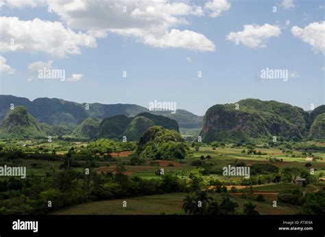 The Viñales Valley, Cuba Stock Photo - Alamy