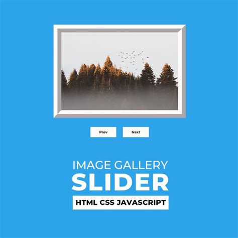 JavaScript image slider in 2023 | Javascript, Sliders, Frontend