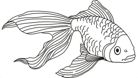 8+ Fish Coloring Pages - JPG, AI Illustrator