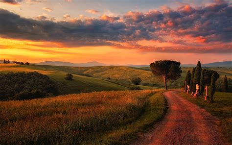 Wallpaper Tuscany, road, trees, fields, clouds, morning, Italy 1920x1200 HD Picture, Image