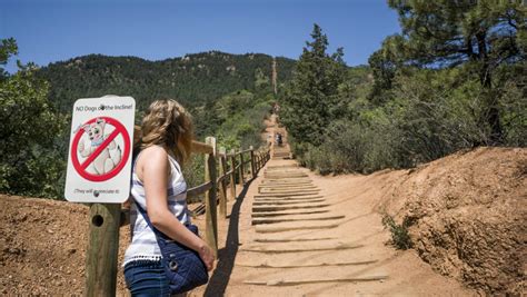 Cheyenne Mountain Zoo Map