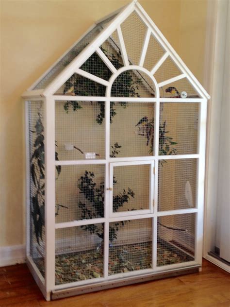 Aviary bird cage built by me | Diy bird cage, Bird cage design, Parakeet cage