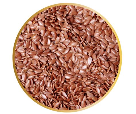 Gourmet Linseed - The Good Life Backyard