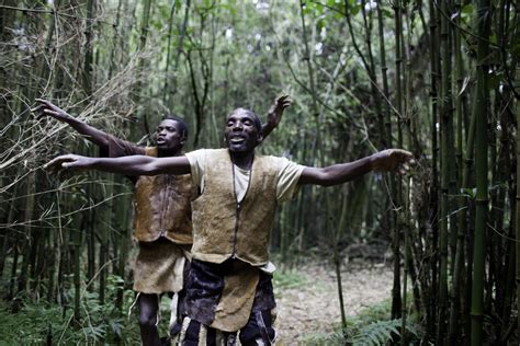 Forest People Return To Their Land ... As Tour Guides | KUOW News and ...