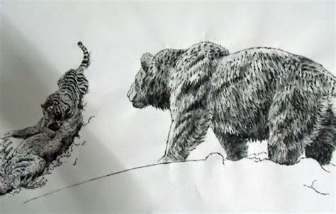 Historical Tiger Lion Fights: Siberian Tiger Kills Brown Bear Illustration