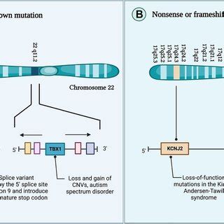 A Review on the Role of Genetic Mutations in the Autism Spectrum ...