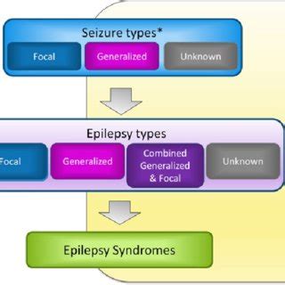 International League Against Epilepsy (ILAE) epilepsy classification ...