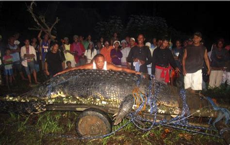 Philippine Giant Crocodile ‘Lolong’, World’s Largest Crocodile In Captivity