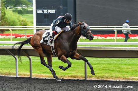 "The Way I See It": Arlington Park - Horse Racing 8-17-14