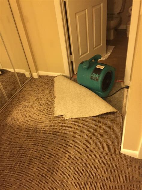 How to Dry a Wet Carpet | Paul Davis Restoration & Remodeling of North ...