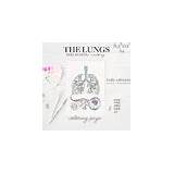 Lungs Bronchi And Alveoli Anatomy coloring Page By TimeLine Artist sketch template