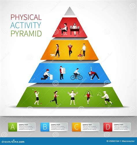 Pirámide De La Actividad Física Infographic Ilustración del Vector - Imagen: 45065164