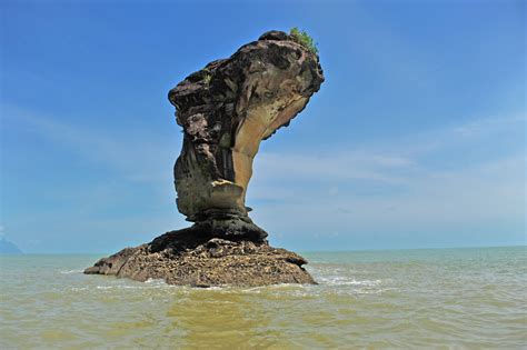 Bako National Park Day Tour | Wildlife Tours - Outback Venture Sdn Bhd