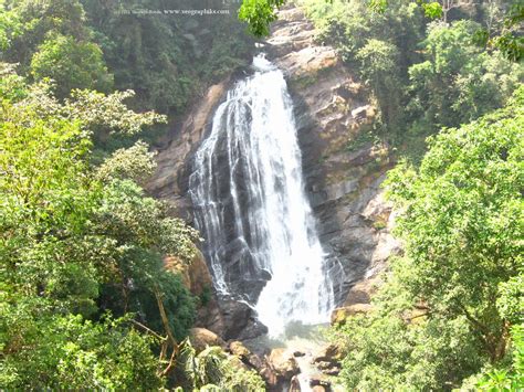 Waterfall, enroute Munnar (from Cochin) | Munnar, Waterfall, India travel