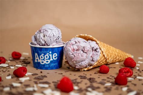 Aggie Ice Cream | USU