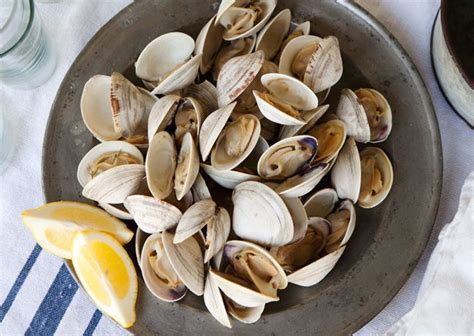 22 Shellfish Recipes | Bon Appétit