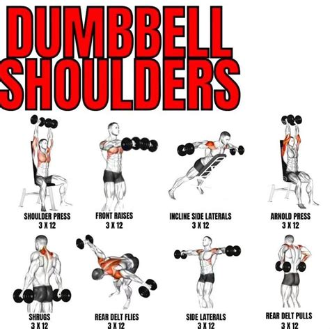 Dumbbell Shoulder Workout | Shoulder workout, Gym workouts for men ...