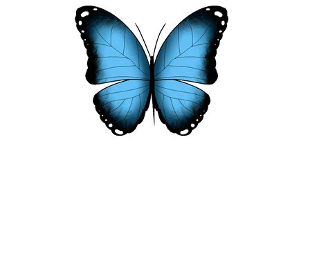 Butterfly Animated Gif Transparent