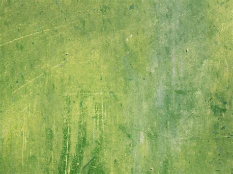 Green Texture Images | Free Photos, PNG Stickers, Wallpapers ...