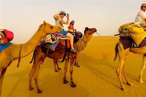 Rajasthan Desert Safari Booking-The Carvaan Resort