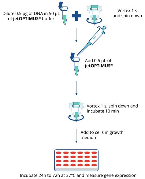 jetOPTIMUS - DNA transfection reagent - Polyplus-transfection