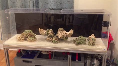 100 gallon reef tank build (Aquascape) - YouTube