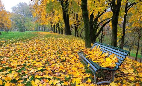 Картинки осень на рабочий стол (100 фото)