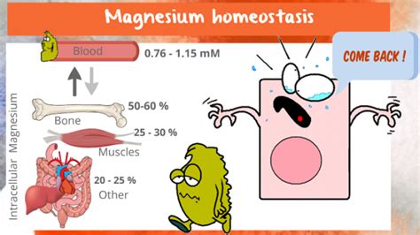 Magnesium in insulin resistance - BBC