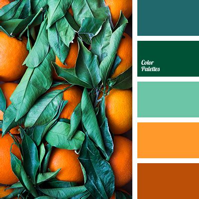 saturated orange | Color Palette Ideas