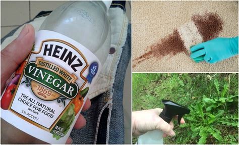 11 Weird But Clever Uses For White Vinegar