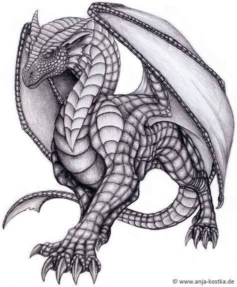 Dragon Drawing | Dragon art, Dragon pictures, Dragon artwork