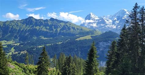 Why You Should Visit the Swiss Alps in the Summer