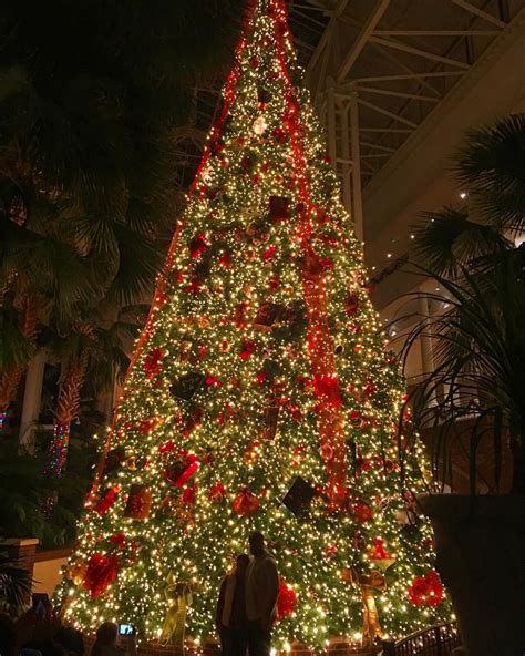 Life In Tennessee — Christmas tree in Opryland Hotel. #nashville ...