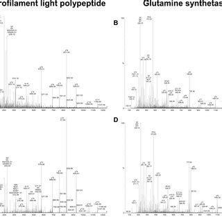 Examples of fragmentation-induced mass spectra. Mass spectra of the... | Download Scientific Diagram