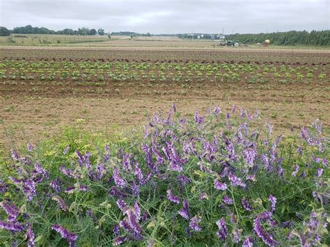 Our Farm — Natural Earth Organic Farms