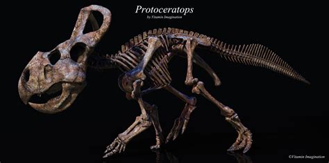 ArtStation - Protoceratops skeleton. by Vitamin Imagination