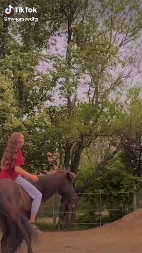 tiktok horse girl 😍 [Video] | Horses, Funny horses, Pretty horses